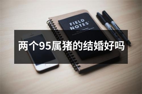 两个95属猪的结婚好吗
