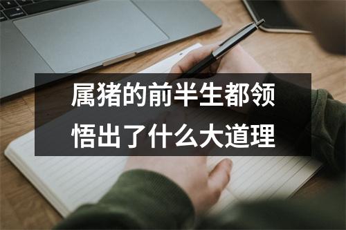 属猪的前半生都领悟出了什么大道理