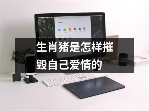 生肖猪是怎样摧毁自己爱情的