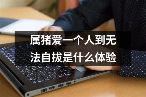 属猪爱一个人到无法自拔是什么体验