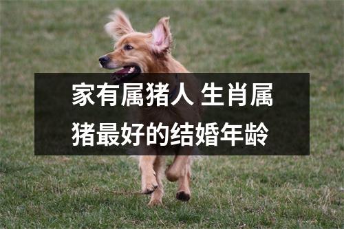 家有属猪人生肖属猪好的结婚年龄