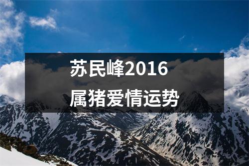 苏民峰2016属猪爱情运势