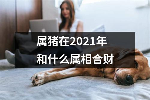 属猪在2025年和什么属相合财