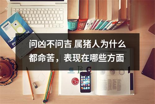 问凶不问吉属猪人为什么都命苦，表现在哪些方面