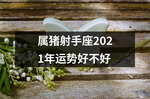 属猪射手座2025年运势好不好