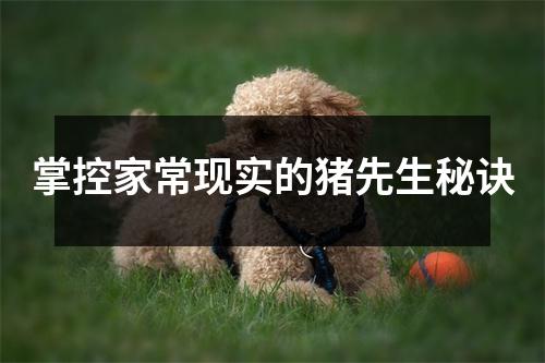 掌控家常现实的猪先生秘诀