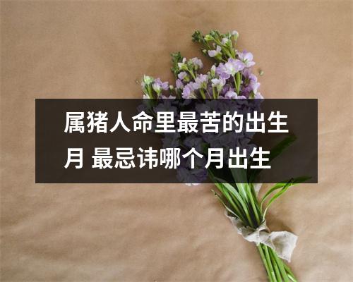 属猪人命里苦的出生月忌讳哪个月出生