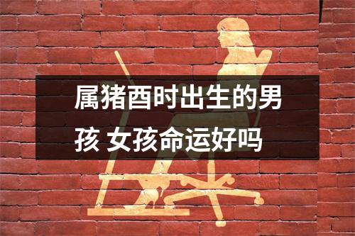 属猪酉时出生的男孩女孩命运好吗