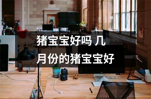 猪宝宝好吗几月份的猪宝宝好