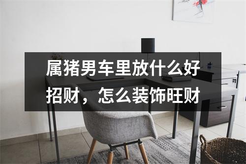 属猪男车里放什么好招财，怎么装饰旺财