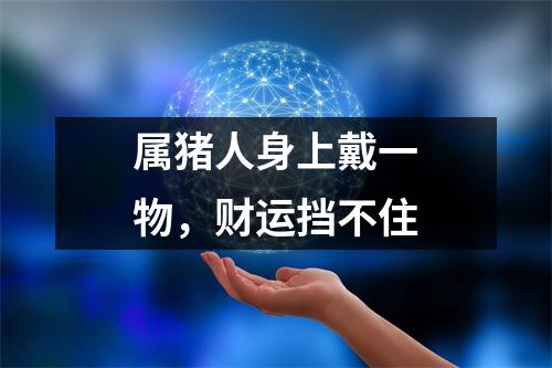 属猪人身上戴一物，财运挡不住