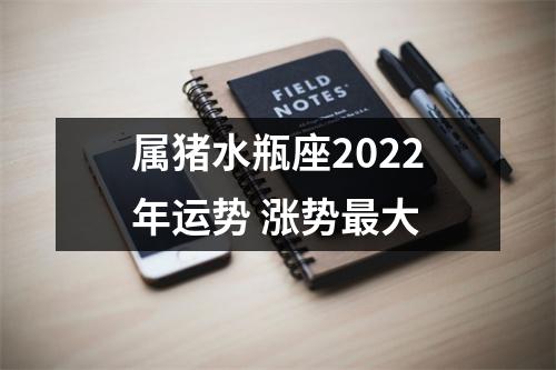 属猪水瓶座2025年运势涨势大