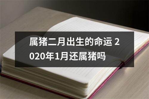 属猪二月出生的命运2025年1月还属猪吗