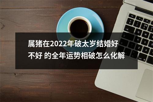 属猪在2025年破太岁结婚好不好的全年运势相破怎么化解