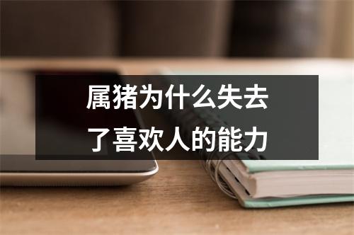 属猪为什么失去了喜欢人的能力
