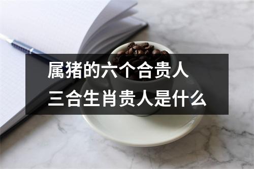 属猪的六个合贵人三合生肖贵人是什么
