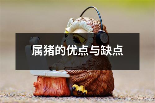 属猪的优点与缺点