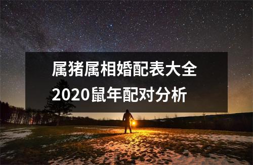 属猪属相婚配表大全2025鼠年配对分析