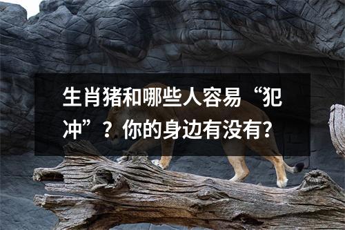 生肖猪和哪些人容易“犯冲”？你的身边有没有？