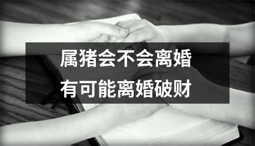 属猪会不会离婚有可能离婚破财