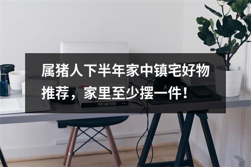 属猪人下半年家中镇宅好物推荐，家里至少摆一件！