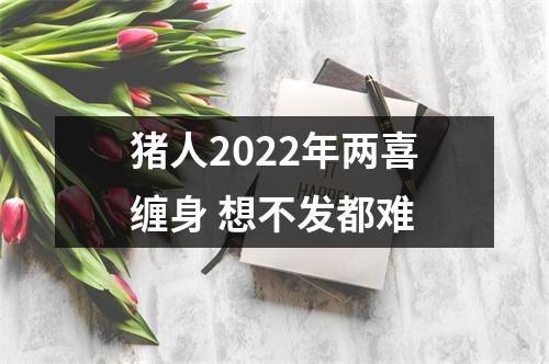 猪人2025年两喜缠身想不发都难