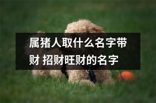属猪人取什么名字带财招财旺财的名字