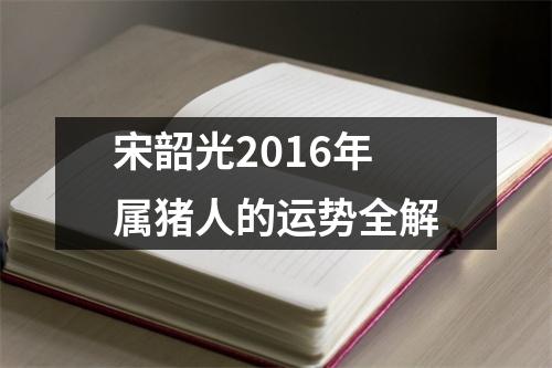 宋韶光2016年属猪人的运势全解