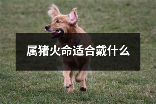 属猪火命适合戴什么