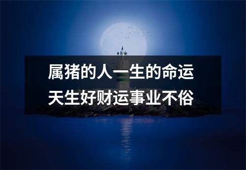 属猪的人一生的命运天生好财运事业不俗