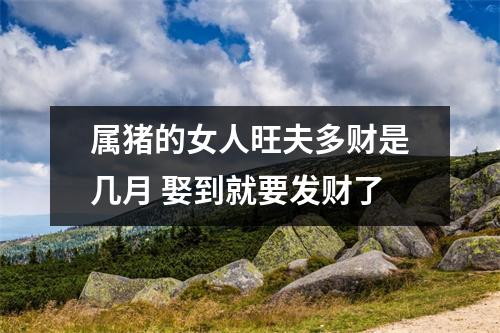 属猪的女人旺夫多财是几月娶到就要发财了