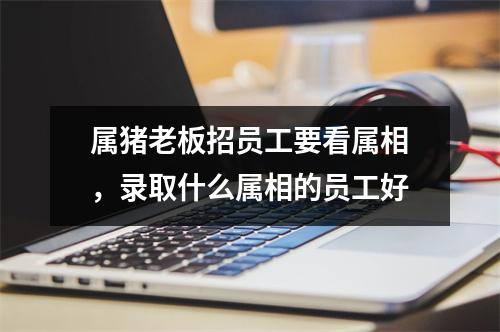 属猪老板招员工要看属相，录取什么属相的员工好