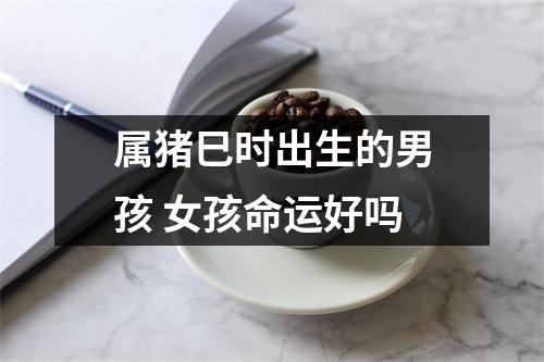 属猪巳时出生的男孩女孩命运好吗