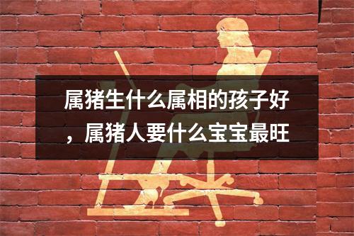属猪生什么属相的孩子好，属猪人要什么宝宝旺