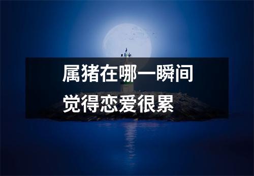 属猪在哪一瞬间觉得恋爱很累