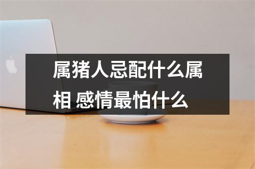 属猪人忌配什么属相感情怕什么