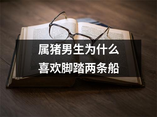 属猪男生为什么喜欢脚踏两条船