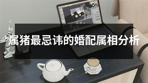属猪忌讳的婚配属相分析