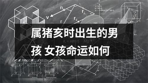 属猪亥时出生的男孩女孩命运如何