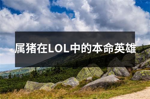 属猪在LOL中的本命英雄