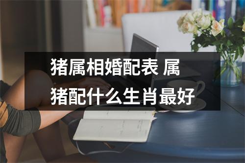 猪属相婚配表属猪配什么生肖好