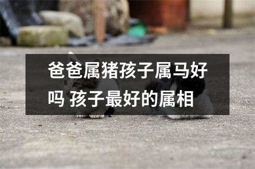 爸爸属猪孩子属马好吗孩子好的属相