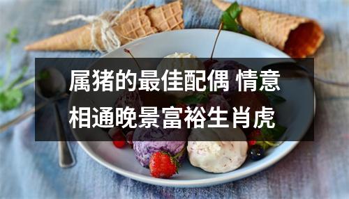 属猪的佳配偶情意相通晚景富裕生肖虎