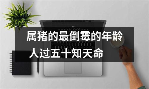 属猪的倒霉的年龄人过五十知天命