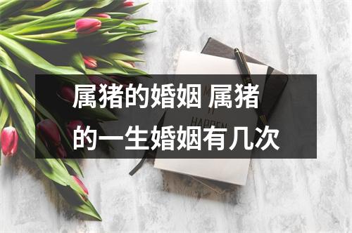 属猪的婚姻属猪的一生婚姻有几次
