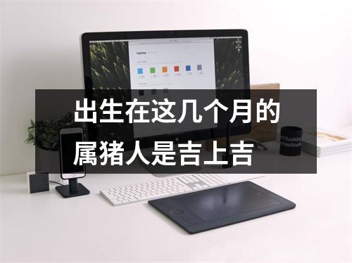 出生在这几个月的属猪人是吉上吉