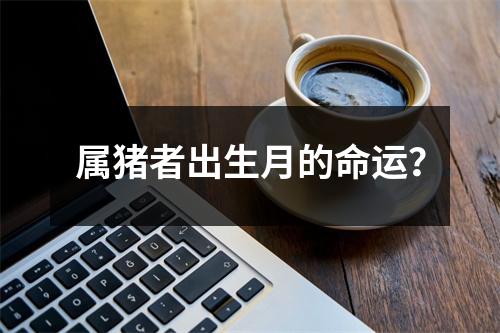 属猪者出生月的命运？