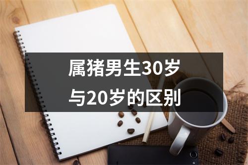 属猪男生30岁与20岁的区别
