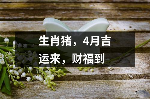 生肖猪，4月吉运来，财福到