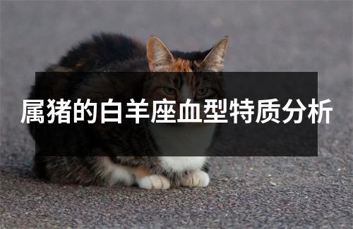 <h3>属猪的白羊座血型特质分析